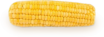 Categories Of Corn Twenty 73kb - Corn Png (350x350)