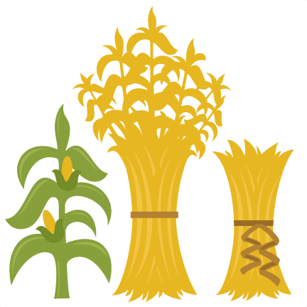 Corn Stalks Svg Cutting Files For Scrapbooking Fall - Corn Stalk Svg (432x432)