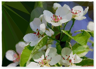 Blossoming Apple Tree Low Poly 5'x7'area Rug - Apple (350x350)