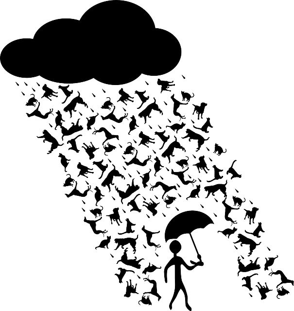 Falling Snowflake Clipart Black And White - Raining Cats And Dogs Clipart (605x640)