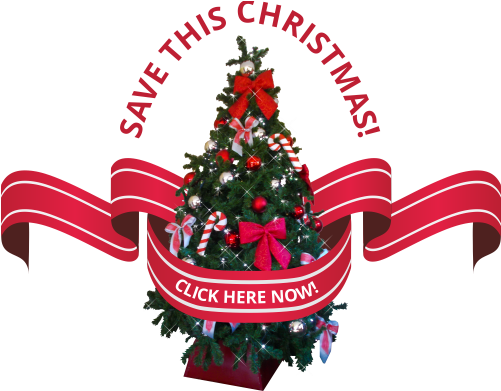 Christmas - Christmas Day (500x420)