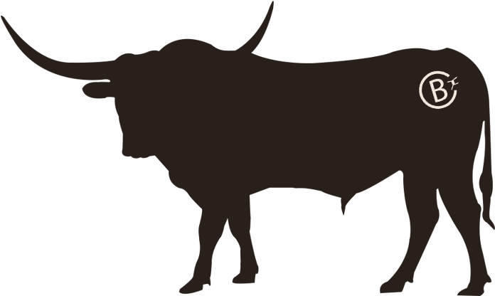 Please Take A Look At Our Longhorns And Let Us Know - Texas Longhorn Png Black (695x435)