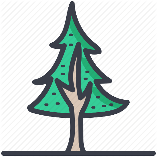 Christmas Tree, Evergreen Tree, Fir Tree, Pine Tree, - Tree (512x512)