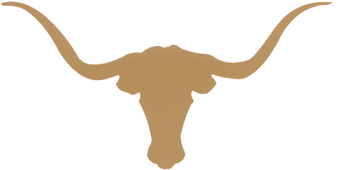 We Have The Expertise And Experience That Gets - Texas Longhorn Clipart (500x256)
