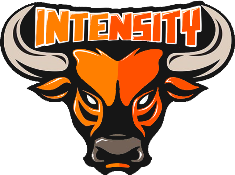 Intensity Logo By Limitlessconcepts - Bull Head Tattoo Design (800x800)