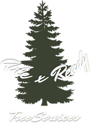 Able And Ready Logo - Pine Tree Clip Art (311x422)