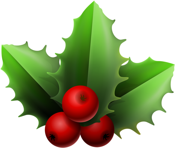 Christmas Mistletoe Png Clipart Image - Christmas Mistletoe (600x505)