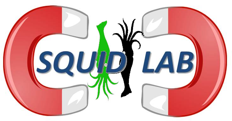 Welcome To The Superconducting Quantum Interference - Logo (742x408)