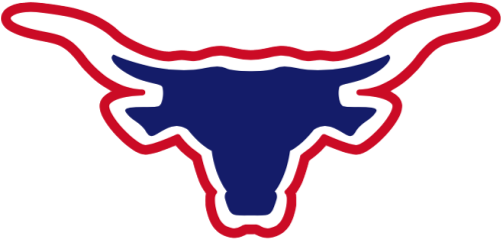 School Logo Image - Norwood High School (500x500)