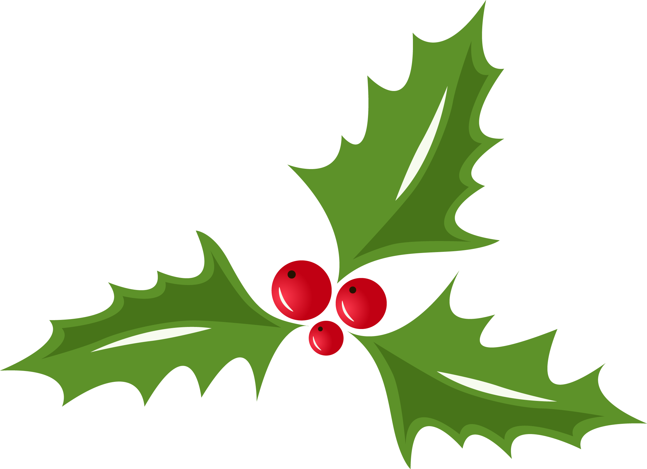 Working With The Pen Tool - Christmas Day (2203x1598)