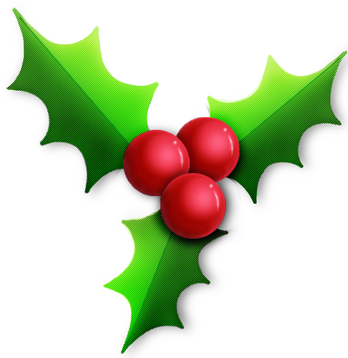 Holly Icon Png - Christmas Icons Png (512x512)