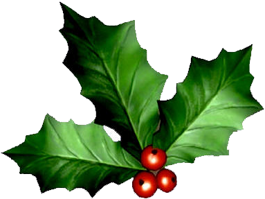 Real Mistletoe Png Great Stocking Filler Gift Ideas - Merry Christmas And Happy New (397x340)