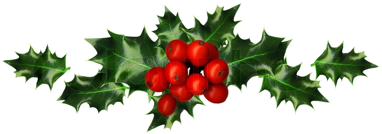 Christmas And New Year Opening Times - Holly And Berries Border (748x263)
