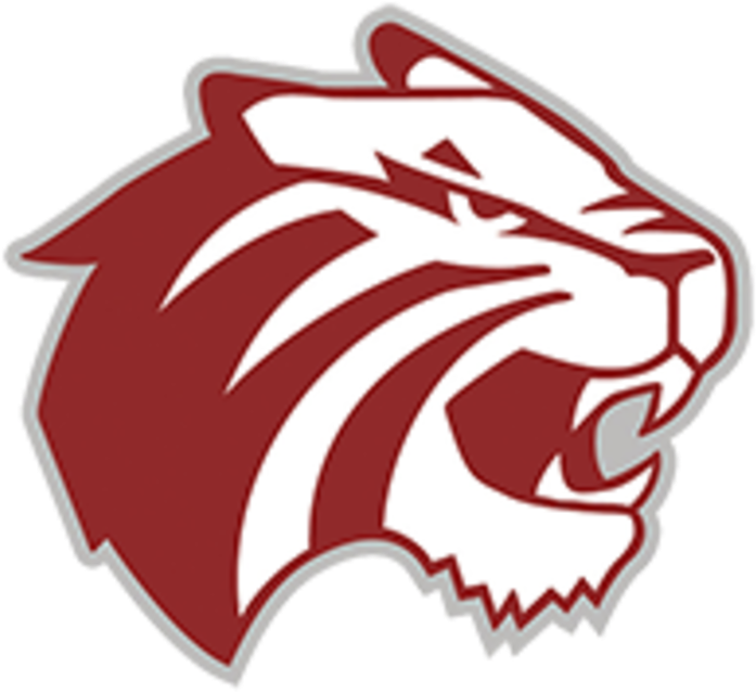 Trinity University Logo - Trinity University Tiger Logo (720x720)
