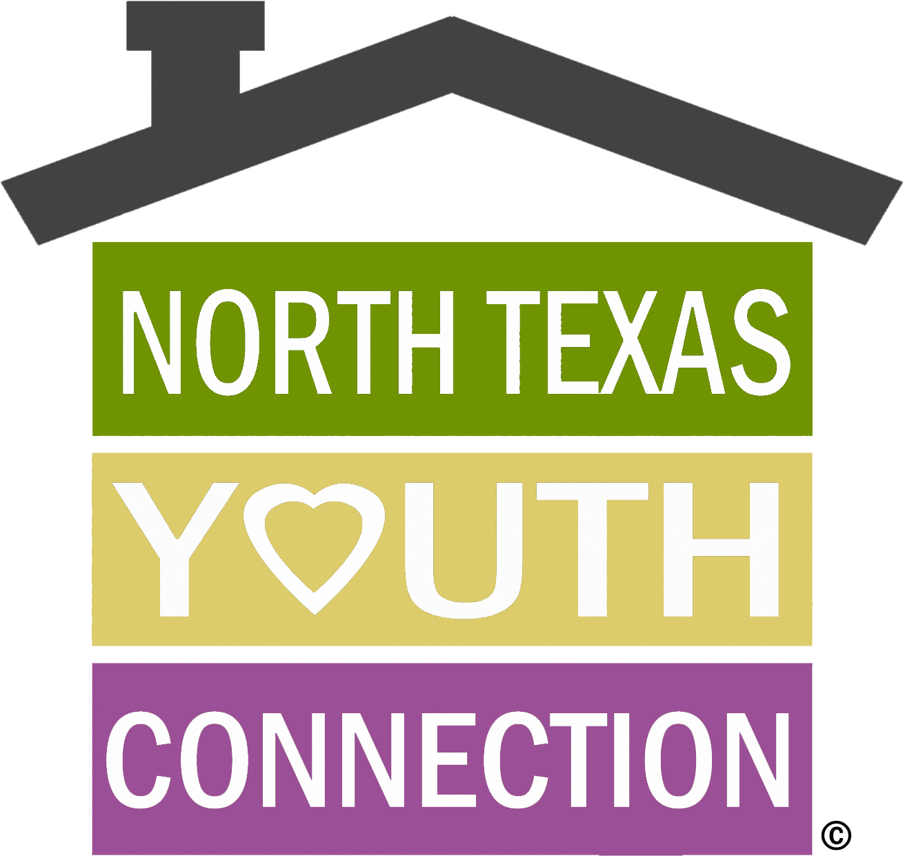 North Texas Youth Connections (1323x1275)