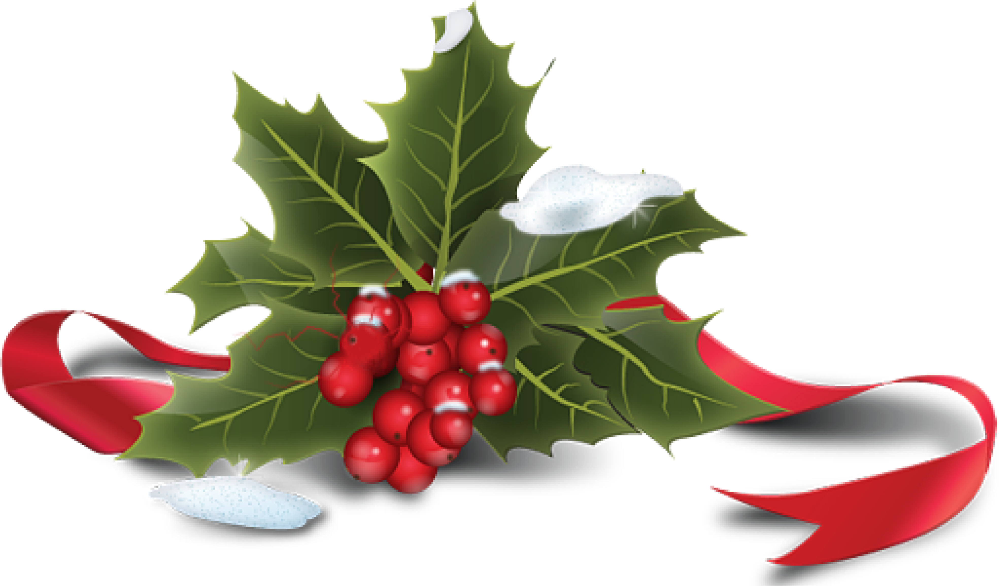 Tempest Mystic Products Has A Limited Edition Scent - Christmas Day (3937x2373)