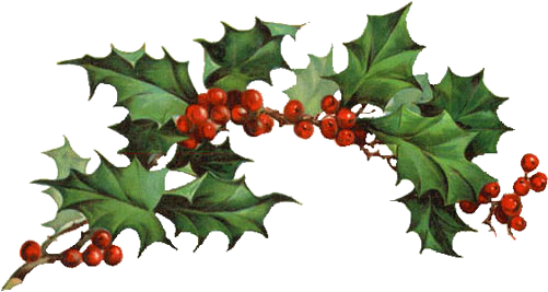 Tuesday, December 25, - Christmas Holly Clipart (500x283)