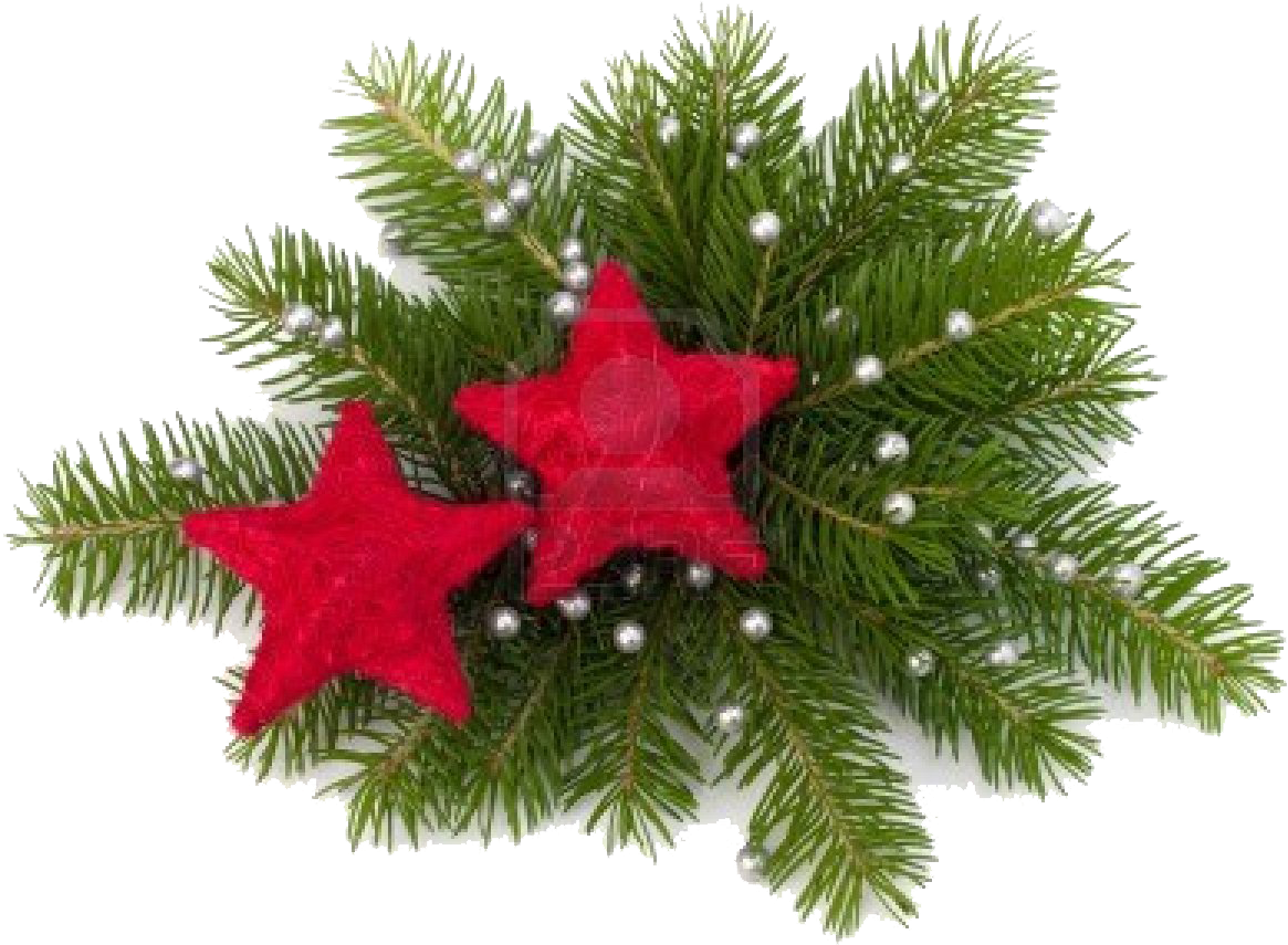 December 2013 Century House - Christmas Ornament (1165x855)