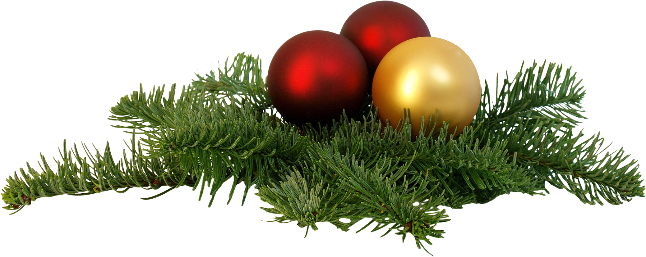 Christmas Branch Png Transparent Image - Christmas Day (2145x910)