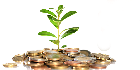 Enter Your Personal Information - Low To Mid-middle Class Moving Up (960x295)