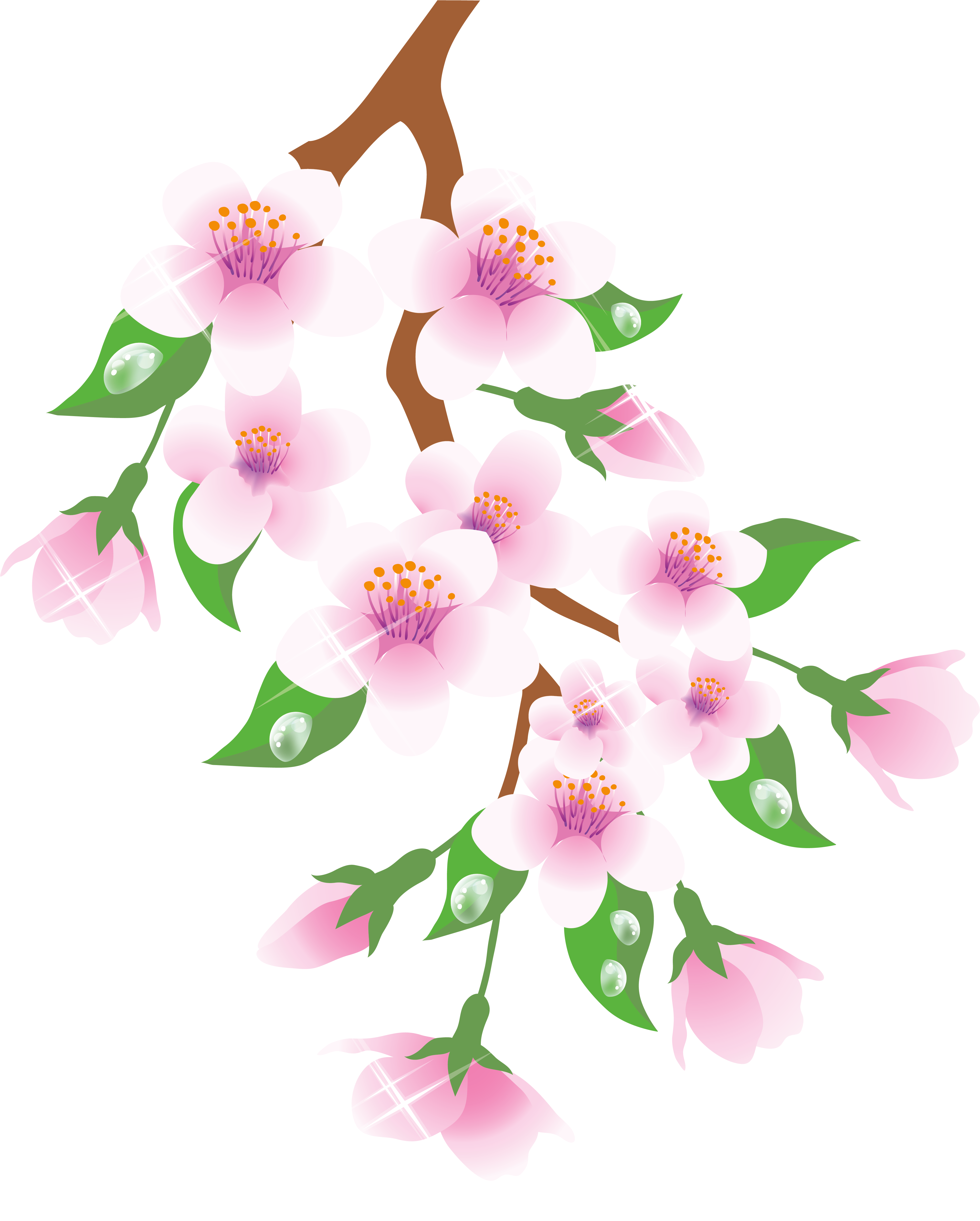 Spring Branch Pink Png Clipart - Spring Branch Clipart (4453x5245)