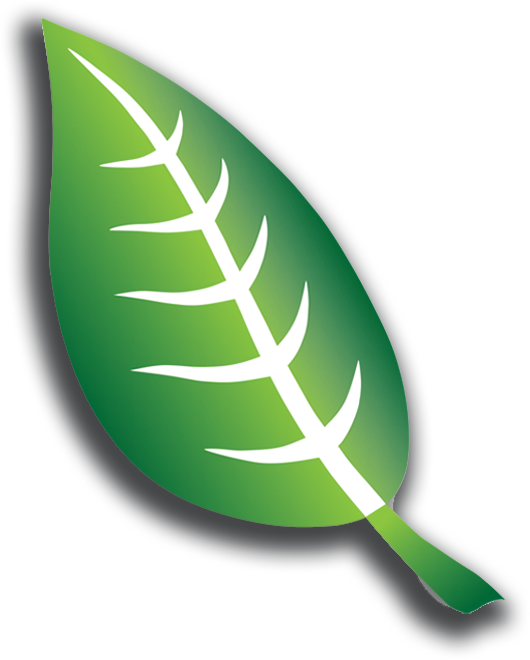 Afmte Leaf - Leaf Symbol (530x660)