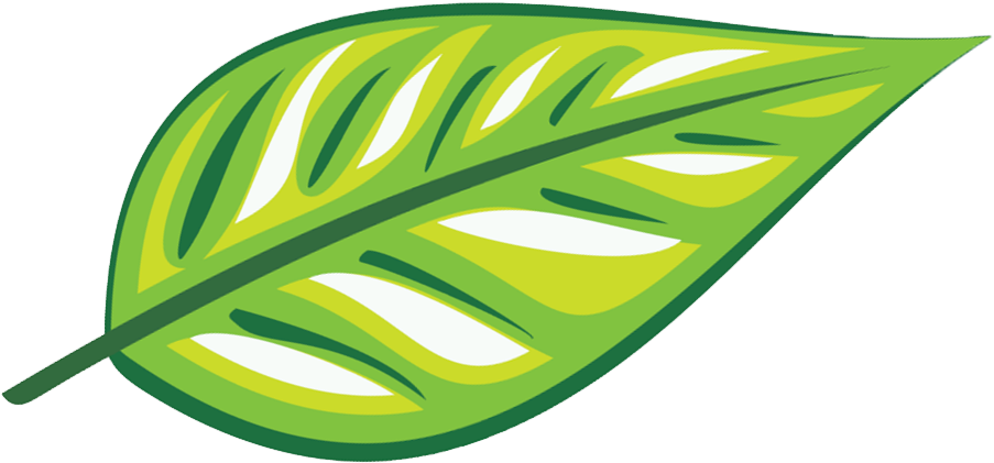 A Whole Health Clinic - A Whole Health Clinic (1198x766)