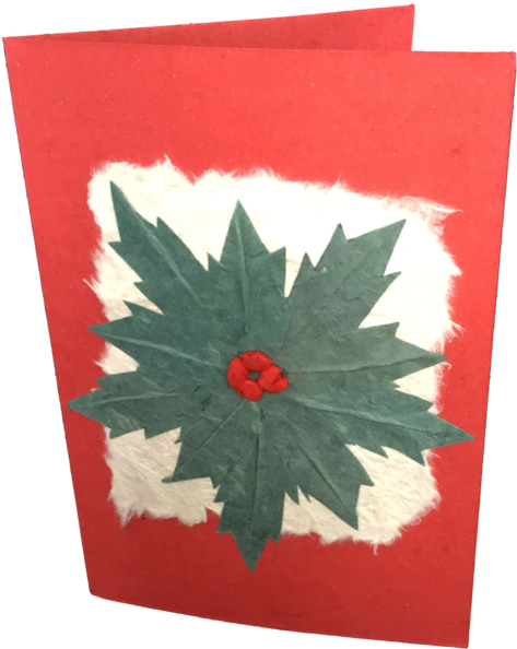 Christmas Card - Christmas Flower - Poinsettia (768x1024)