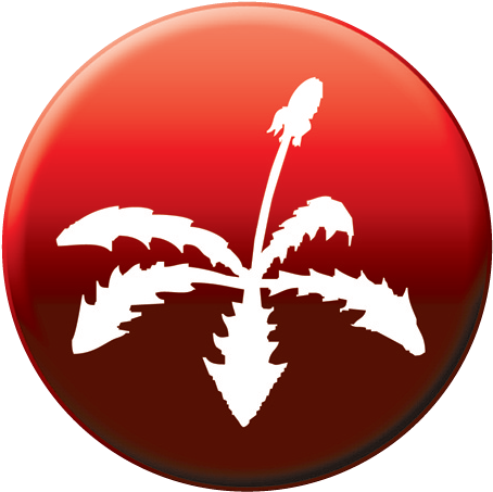 417 18l Battery Operated Backpack Sprayer, - Herbicide (496x499)