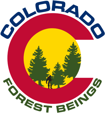 Colorado Forest Beings - Hoodie (400x430)