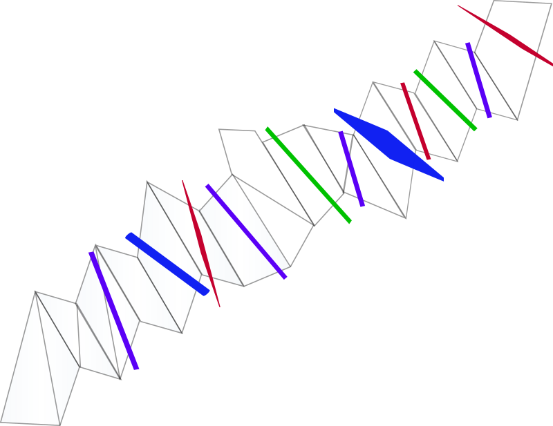 Transit Clipart Free For Download - Photography (800x617)