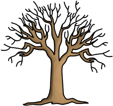 Tree Without Leaves Cartoon Images - Green tree illustration, logo tree