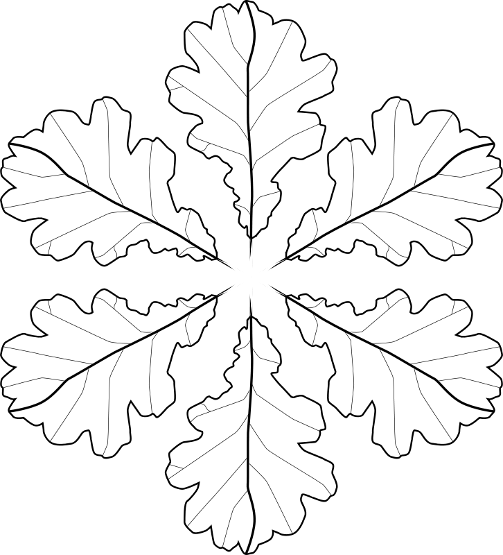 Free Fall Leaves Coloring Page - Zirkel Konstruktionen (726x800)