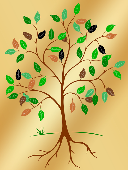 Art Pictures Of Trees 12, Buy Clip Art - Vector Tree Art Free (542x720)