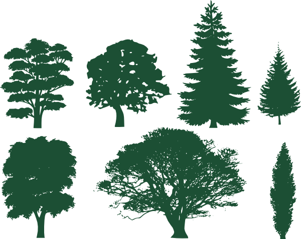 Family Tree Silhouette Roots Download - Trees Silhouettes (600x478)