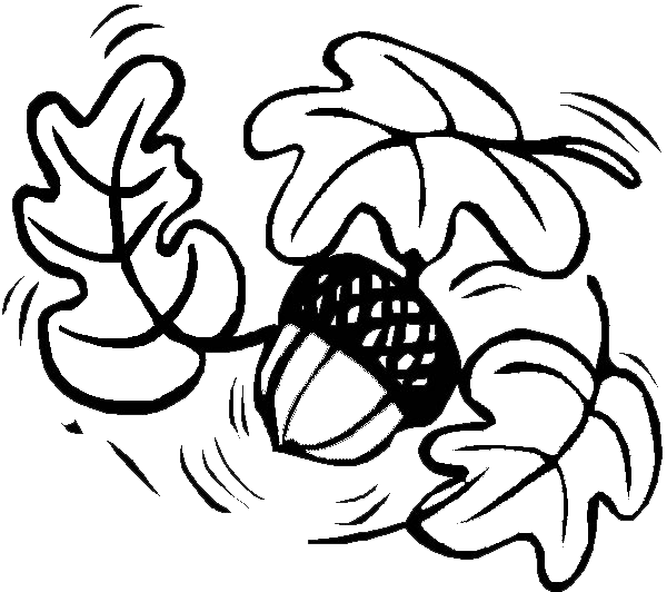 Autumn Leaves And Pine Fruit Coloring Page - Illustration (600x532)