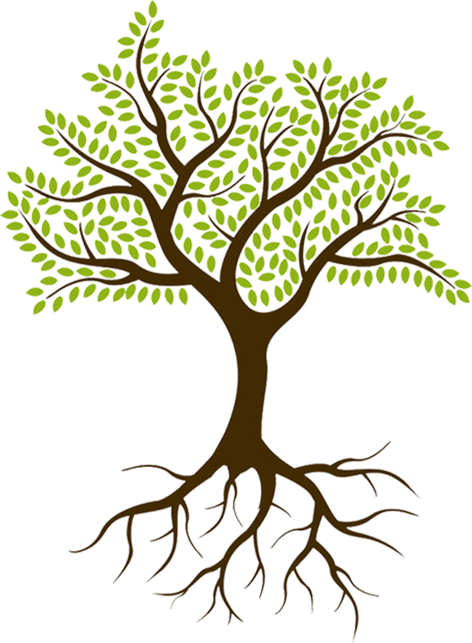 Theoretical Perspectives On Family Businesses Management - Theoretical Perspectives On Family Businesses - Book (528x719)