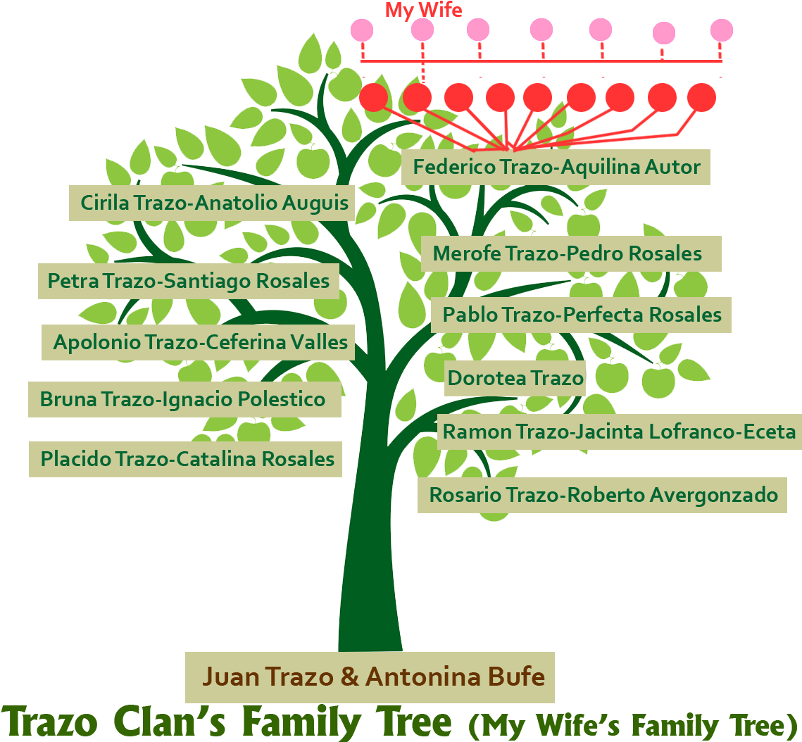 On The Photo Above, It Shows The Family Tree Of The - Tree (1251x1135)