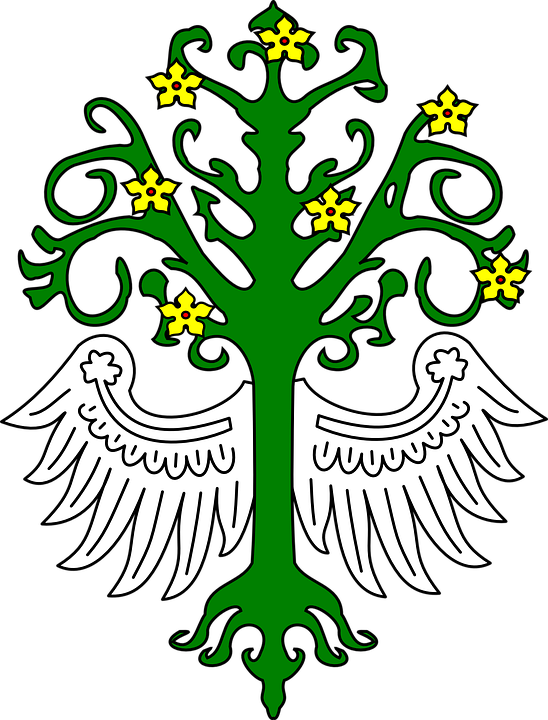 Tree With Roots Clipart 21, - Le Puy Foot 43 Auvergne (548x720)