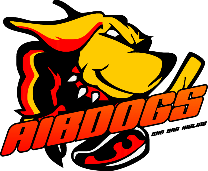 Herzlich Willkommen Bei Der Breu Touring Gmbh & Co - Ice Hockey (731x600)