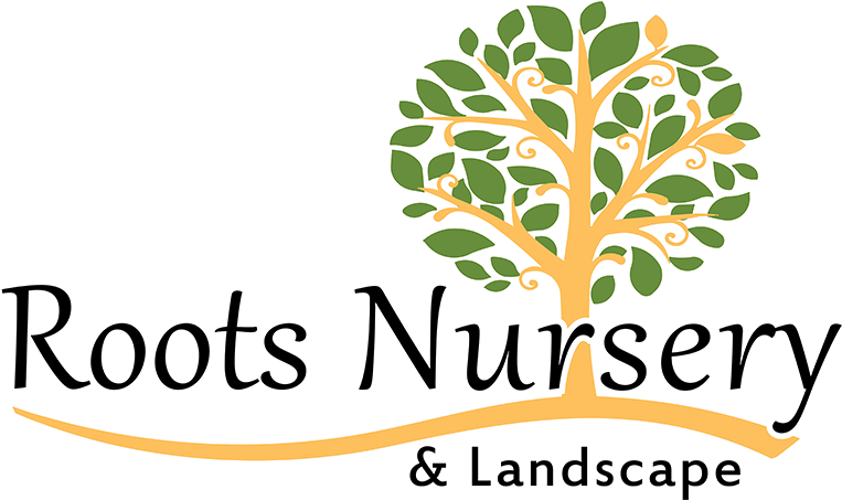 Home - 9 Months (800x488)