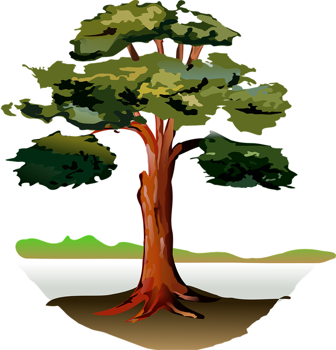 Oak Tree Clipart 12, Buy Clip Art - Clipart Tree By River (691x720)