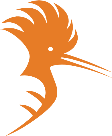 Birdingtours - Illustration (568x528)