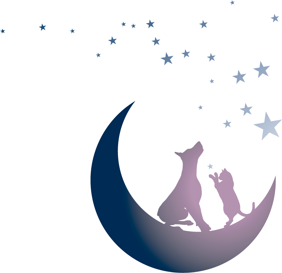 Tails By Twilight - Moon And Stars No Background (1260x994)