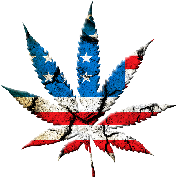 Medical Marijuana Inc - State Marijuana Legalization: Issues And Effects (720x720)