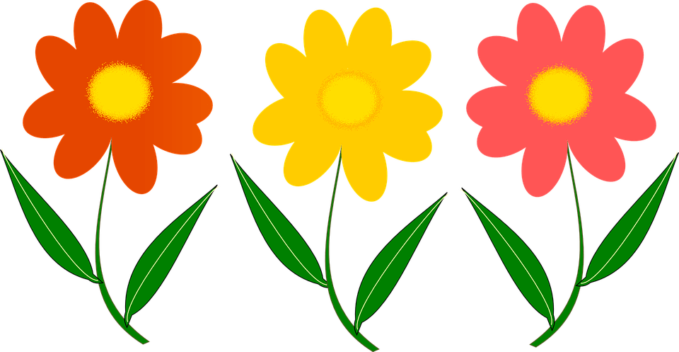 Trois Fleurs, Plantes, Image Vectorielle - Vector Png Flower Png (960x497)