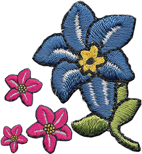 Alle Events - Iris (512x512)