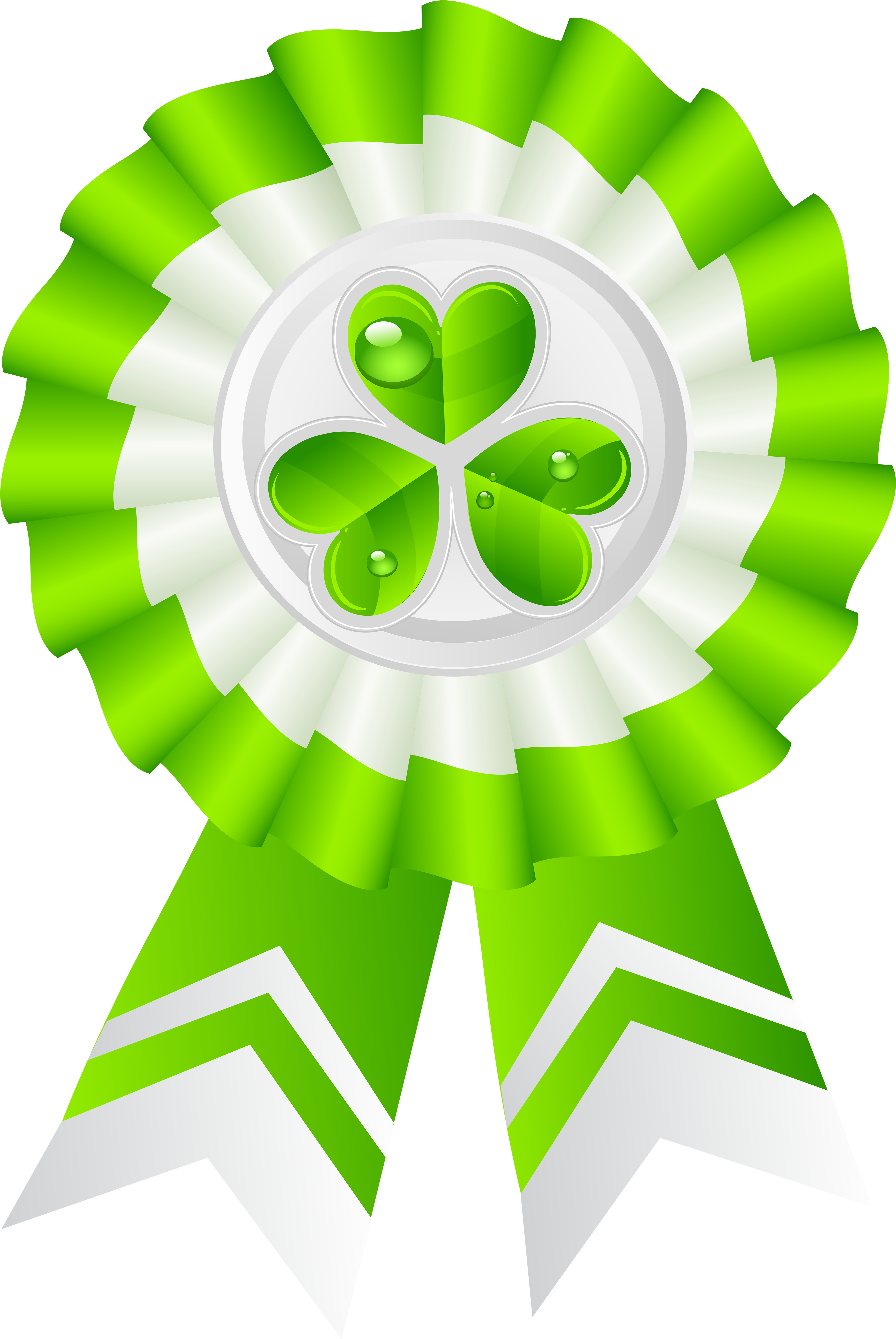 St Patricks Day Seal With Shamrock Transparent Png - Saint Patrick's Day (4015x6000)