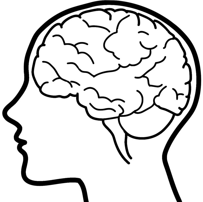 Brain Colour Drawing Transparent Png - Crossword Puzzle Book For Adults: Brain Twisters [book] (800x795)