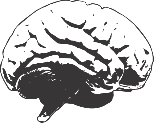 Cool Brain Drawing Download - White Brain Logo Png (500x400)